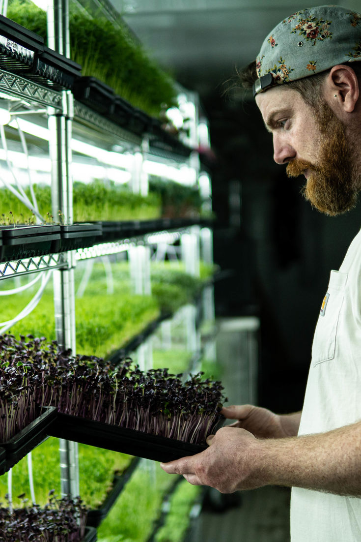 Meeting The UK's Micro Herb Growers Great British Chefs