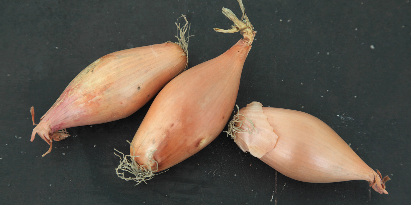 Shallot Recipes Great British Chefs