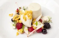 Mugwort panna cotta, blowtorched berries, whipped cream, roast peach ice cream and honeycomb