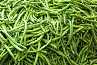 Grow your own: autumn