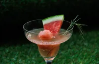 Watermelon, rosemary and Prosecco sorbet cocktail