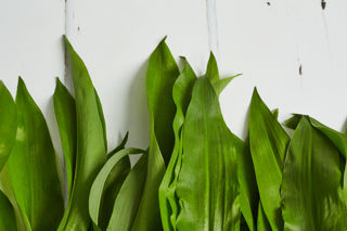 How to blanch wild garlic