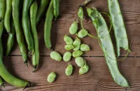 How to cook broad beans