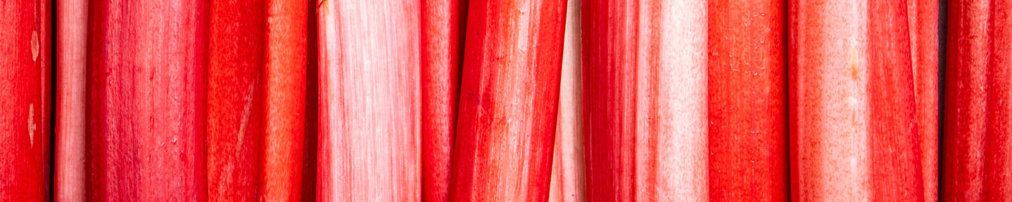 Contributor's page background image