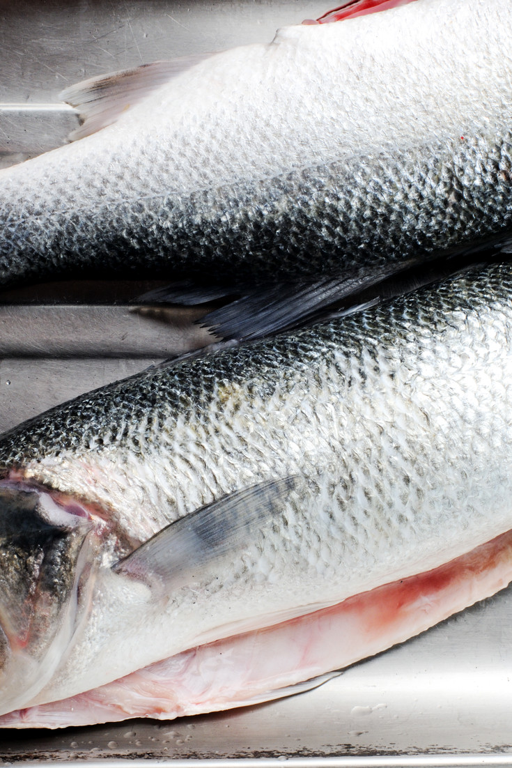 Sea Bass Recipes: Grilled Sea Bass, Pan-roast - Great British Chefs