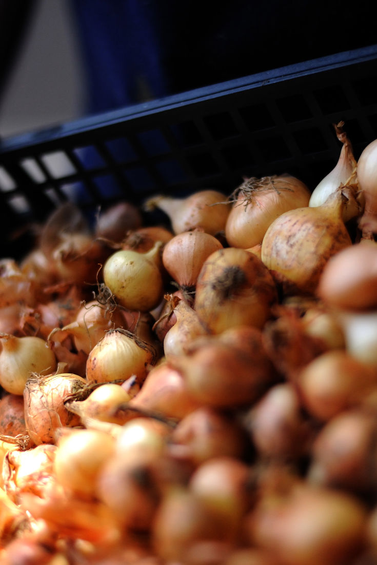 How to Cook Onions Great British Chefs