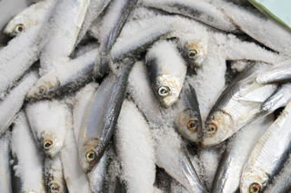 In pictures: Billingsgate Market