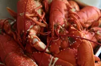 How to cook lobster