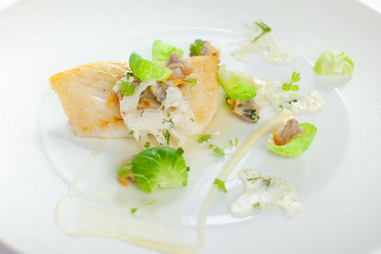 Roast turbot with cauliflower carpaccio, sauté of sprout leafs, cockles, bay leaves and bread sauce