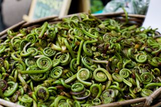 Canada: the land of plenty