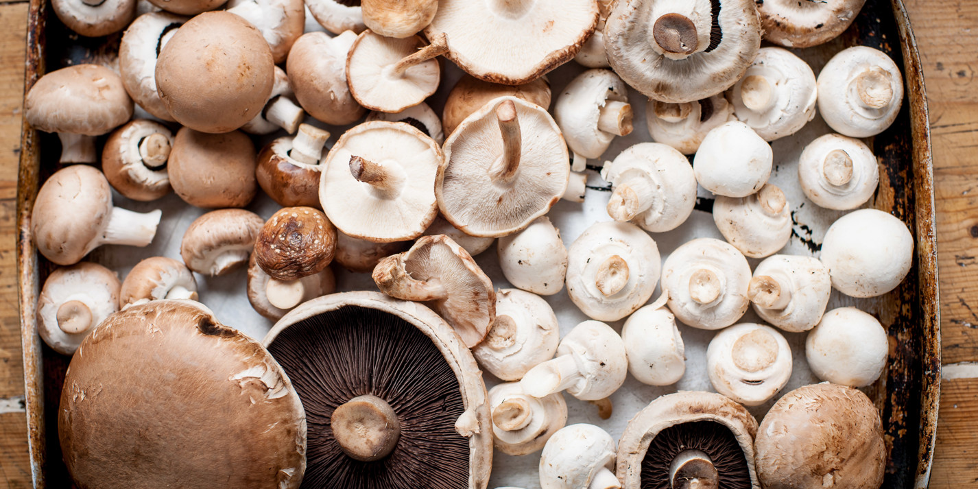 Mushroom Recipes: Mushroom Pie, Risottos, Sauces - Great British Chefs