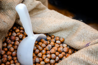 Nuts about nuts: the hazelnuts of Piedmont