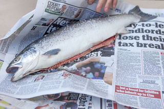 How to cook a whole trout