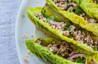 Thai Larb Salad Recipe