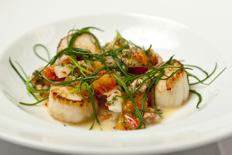 Seared scallops with salsify, blood orange and brown shrimp