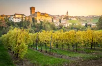 The wines of Emilia-Romagna