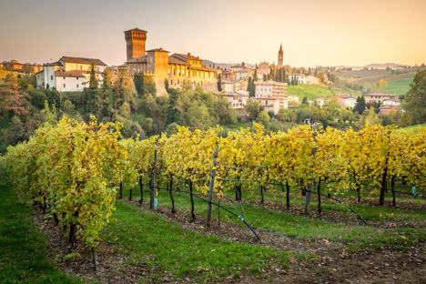 The wines of Emilia-Romagna