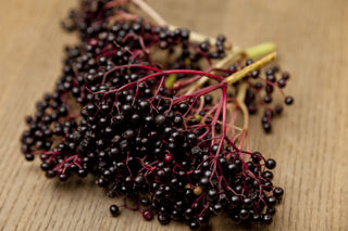 What's in season – September