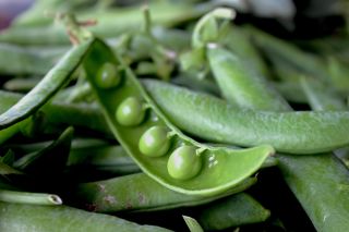 8 of our favourite pea recipes
