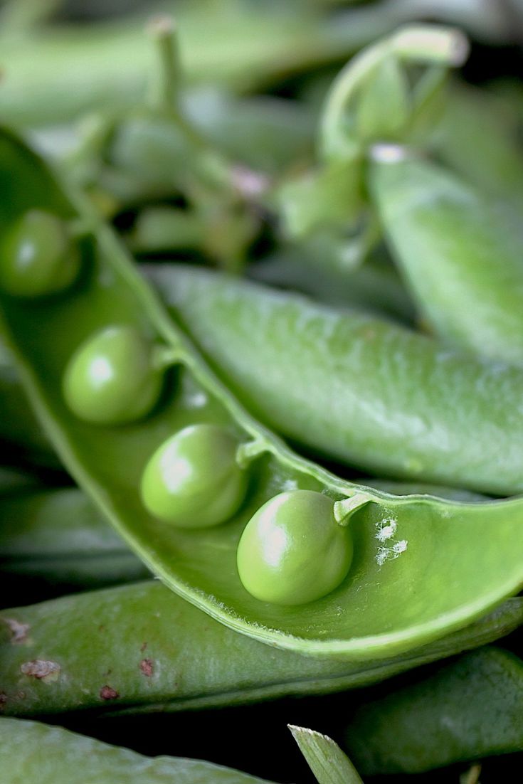 8 Of Our Best Pea Recipes - Great British Chefs