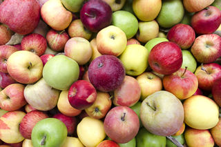 The forbidden fruit: are we eating and cooking the wrong apples?