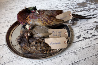 Game on: a guide to Britain’s wild birds