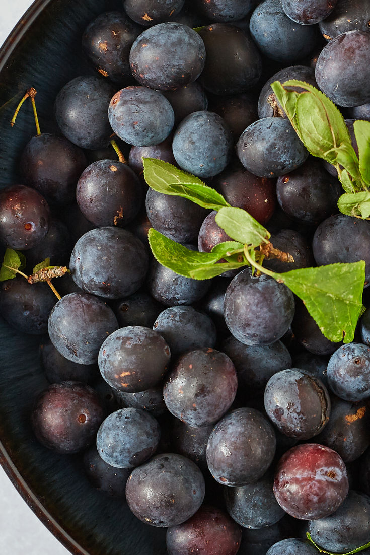 Damson Recipes Great British Chefs