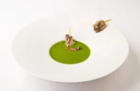 Chilled watercress and lettuce velouté with oysters