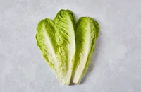 Unglamorous vegetables: lettuce