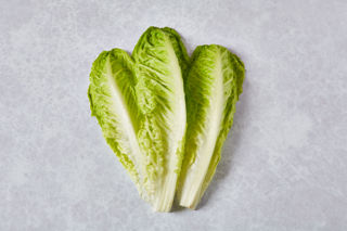 Unglamorous vegetables: lettuce