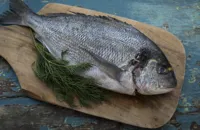 How to fillet a round fish