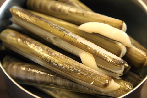 How to steam razor clams