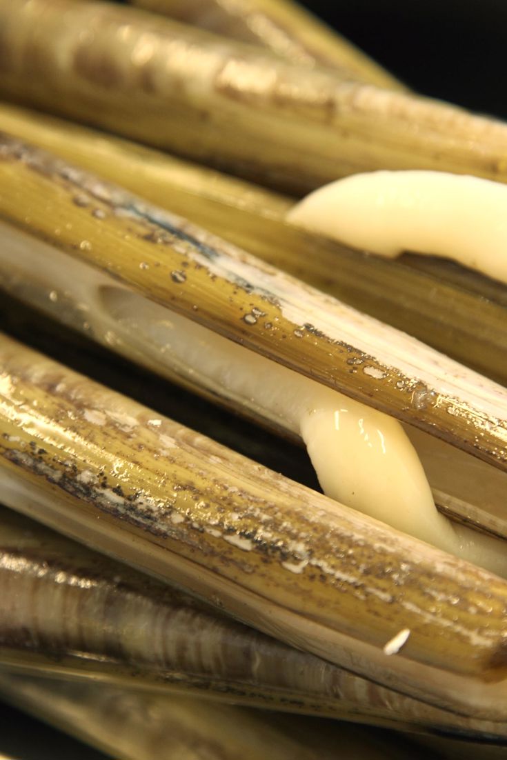 How to Steam Razor Clams Great Italian Chefs