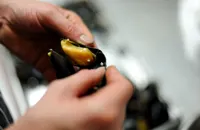 How to remove cooked mussels from their shells