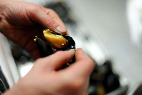 How to remove cooked mussels from their shells