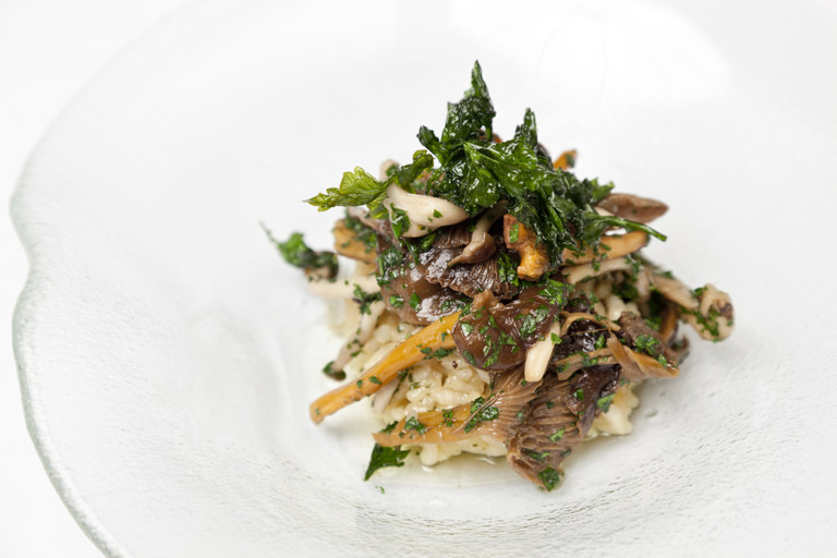 Risotto Milanese with wild mushrooms