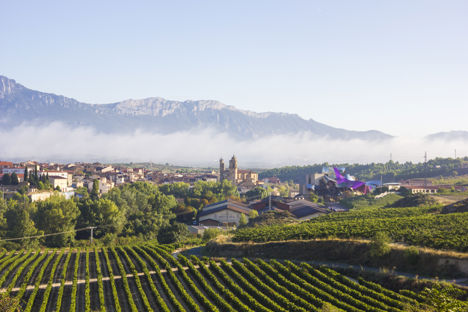 The complete foodie guide to La Rioja and Navarra