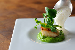 Scallops, pea purée, shoots and cumin foam