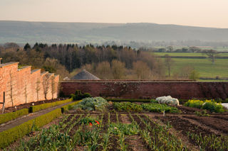 Beyond sustainability: what it takes to win a Michelin green star