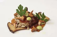 Mushroom orzo with soy sauce jelly, king oyster mushrooms and parsley