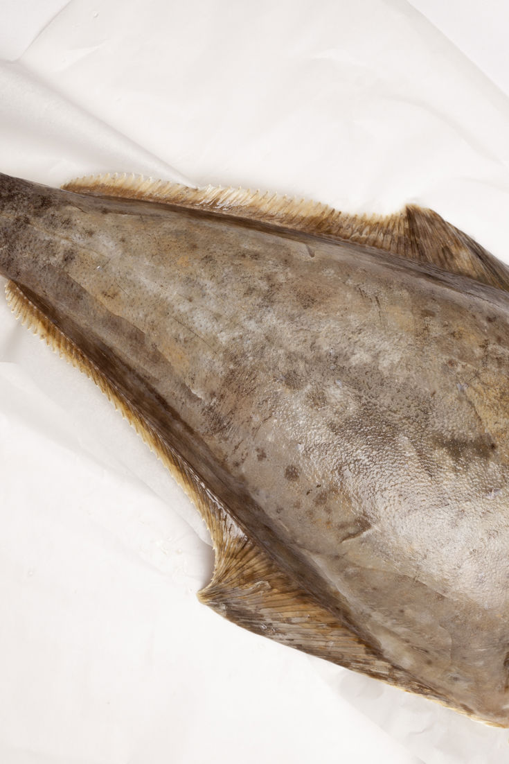 Halibut Recipes PanFried, Halibut Fillet Great British Chefs