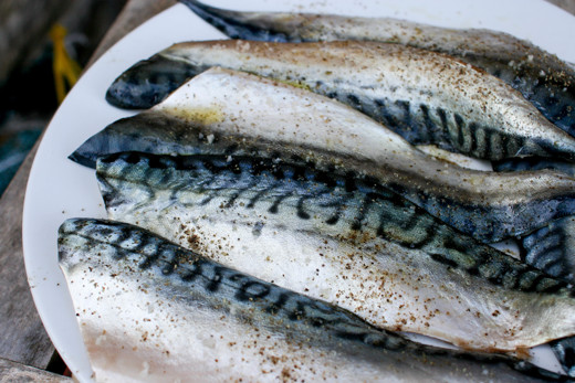 How to Pan-Fry Mackerel Fillets - Great British Chefs