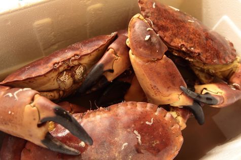 Dressed Crab Recipe, Pineapple Chutney, Beignets - Great British Chefs