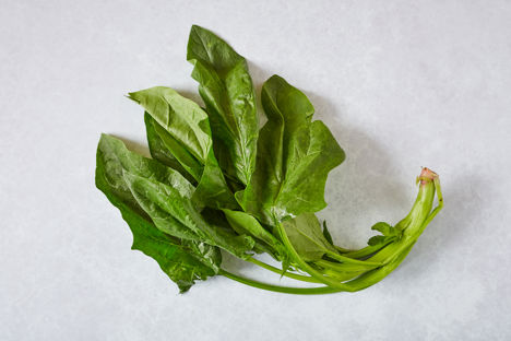 Unglamorous vegetables: spinach