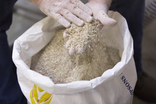 Embracing the natural beer haze