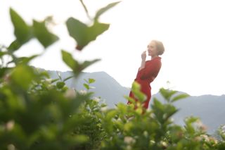 White tea Henrietta Lovell