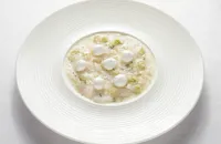 Cured monkfish, ginger and spring onion dressing, yoghurt