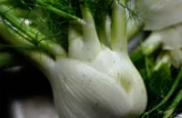 How to prepare fennel