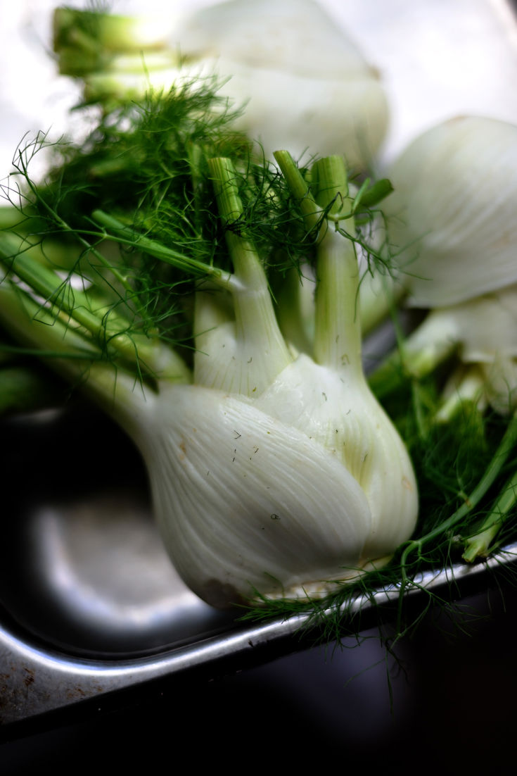 How to Cook Fennel Sous Vide Video Great British Chefs