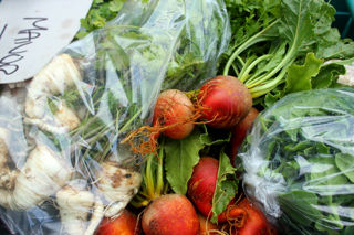 NamaYasai: Japanese produce from Sussex